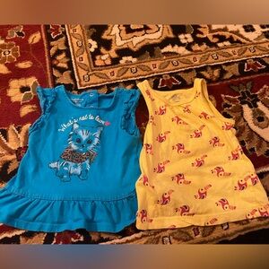 18M Baby girl’s Tops Bundle